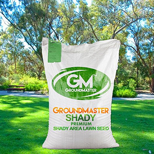GroundMaster Dark Lawn Area Grass Seeds 1kg Premium Grass Seed Mix Fast-Growing Lawn Mix for Shaded Gardens - Pet Friendly Shade Tolerant Seeds for UK Climates