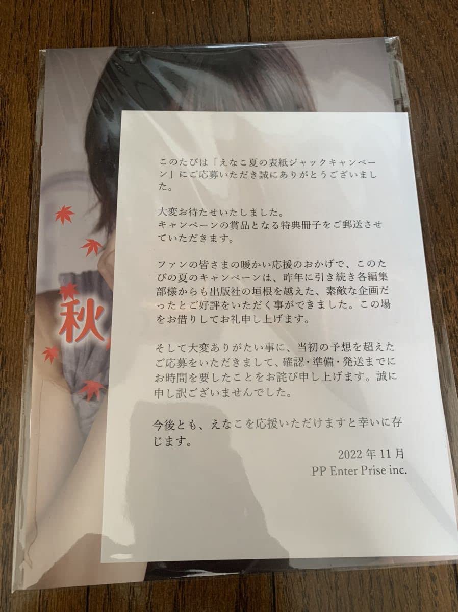 Amazon.co.jp: 2022 えなこ 夏の表紙ジャックキャンペーン ミニ写真集