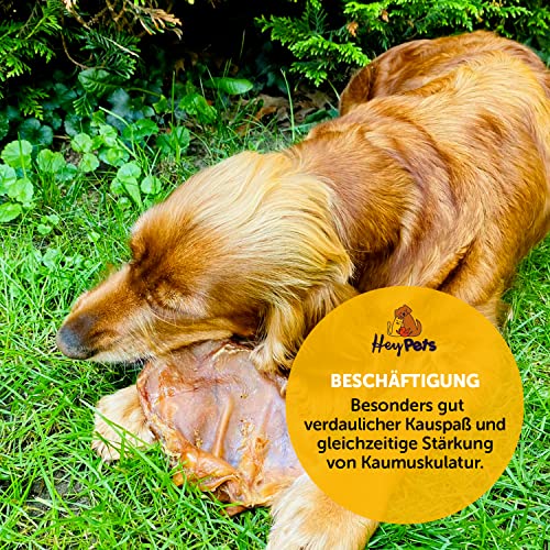 Hey Pets Schweineohren für Hunde & Welpen, Beste Hunde Leckerlis, Ideale Zahnreinigung, 100% natürlich, getreidefrei, Kauartikel, Kausnack (Beutel mit 10 Stück)