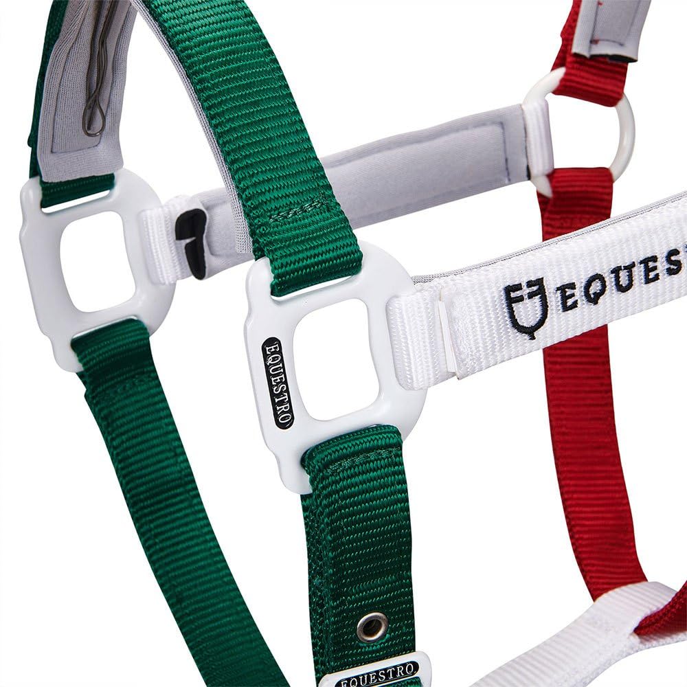 CAVEZZA "FLAGGY" E LUNGHINA (COB, VERDE/BIANCO/ROSSO)