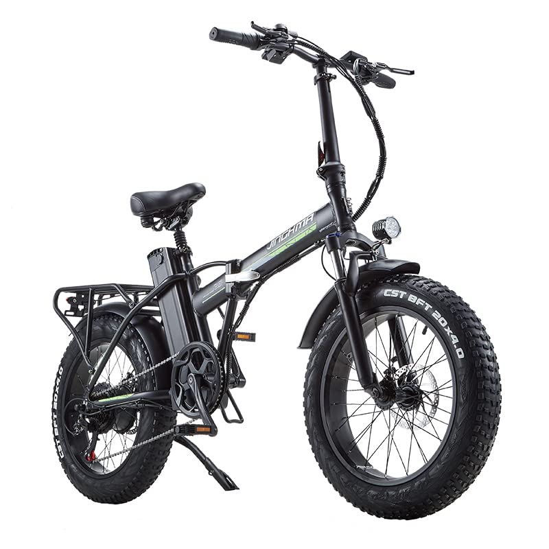 fangqi E-Bike, JINGHMA R8-800, Elektrofahrräder, 20Zoll Fat Reifen...