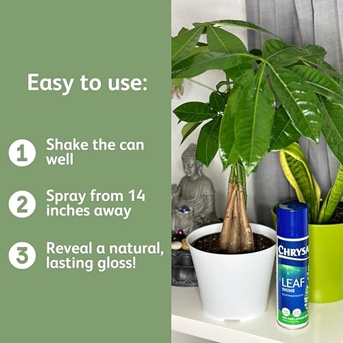 Miniatura 6 de Chrysal Spray de brillo de hojas para plantas de interior