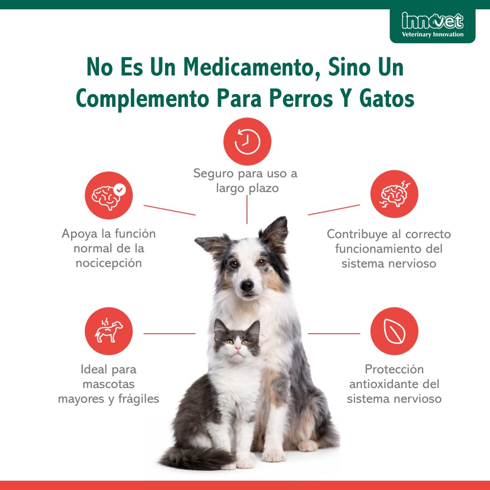 Innovet Alevica Suplemento para el Sistema Nervioso para Perros y Gatos 20 Comprimidos Masticables – con PEA-q y Quercetina – Apoya el Equilibrio Neurológico