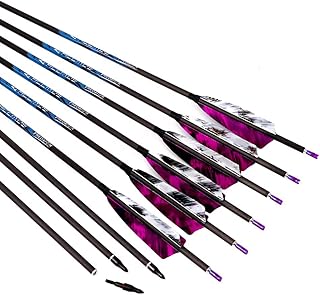 6pc ID 6.2mm .244" Carbon Arrows 22-33 Inch Spine 250 300 340 400 500 600 700 800 Adult Youth Target Practice & Hunting Arrow Rotatable Nock for Recurve Bow Compound Bow Shooting Purple