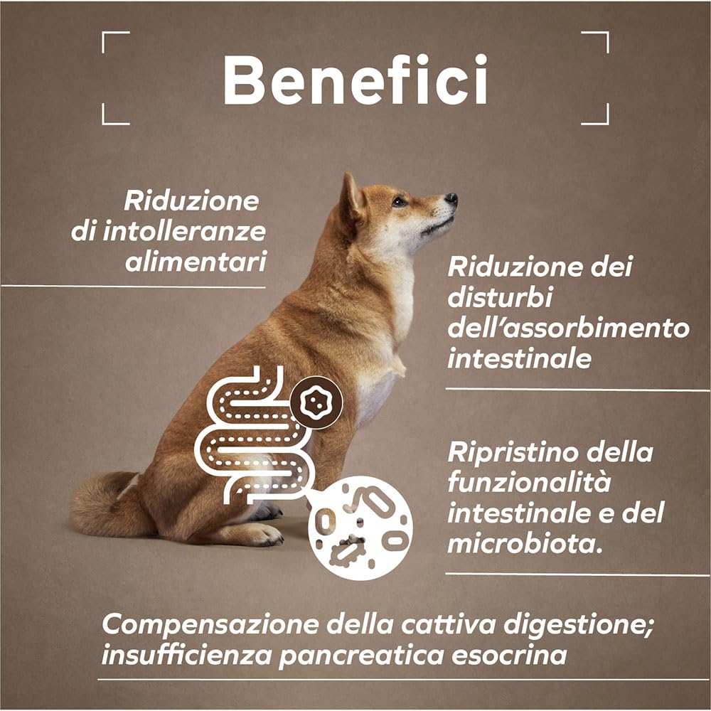 FORZA10 Dog Active Intestinal Colon FASE 1 | Agnello e Sorgo | Alimento Dietetico per Sensibilità Intestinale | Cibo Secco per Cani | Sacco da 10 Kg