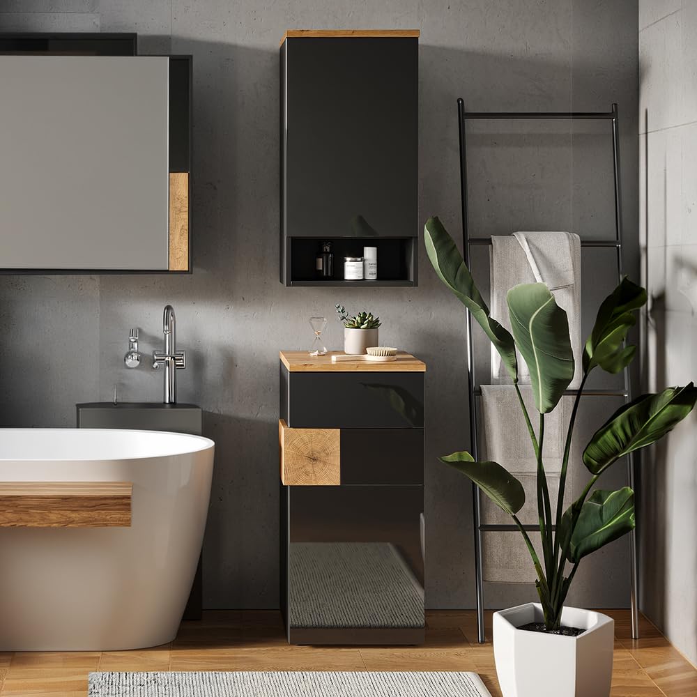 Vicco Armoire Murale Eden, Anthracite, 40x77.5cm | pour montage mural avec aménagement intérieur modulable