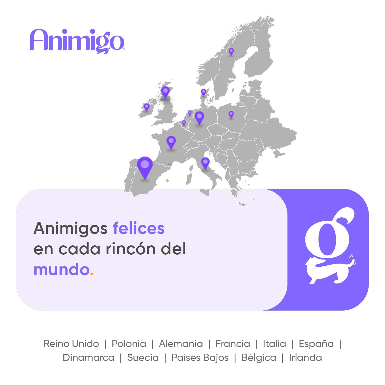 animigo Calmante para Gatos en Comprimidos Masticables - Antiestrés Natural para Gatos Nerviosos, Estrés por Cambios, Viajes o Veterinario - Relajante con Taurina, Pasiflora y Ashwagandha