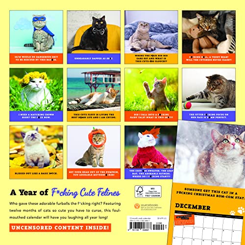 2023 Too F*Cking Cute Cats Wall Calendar: A Year Of D*Mn Adorable Kitties (Funny Monthly Calendar & White Elephant Gag Gift For Cat Lovers) (Calendars & Gifts To Swear By) #TOP1