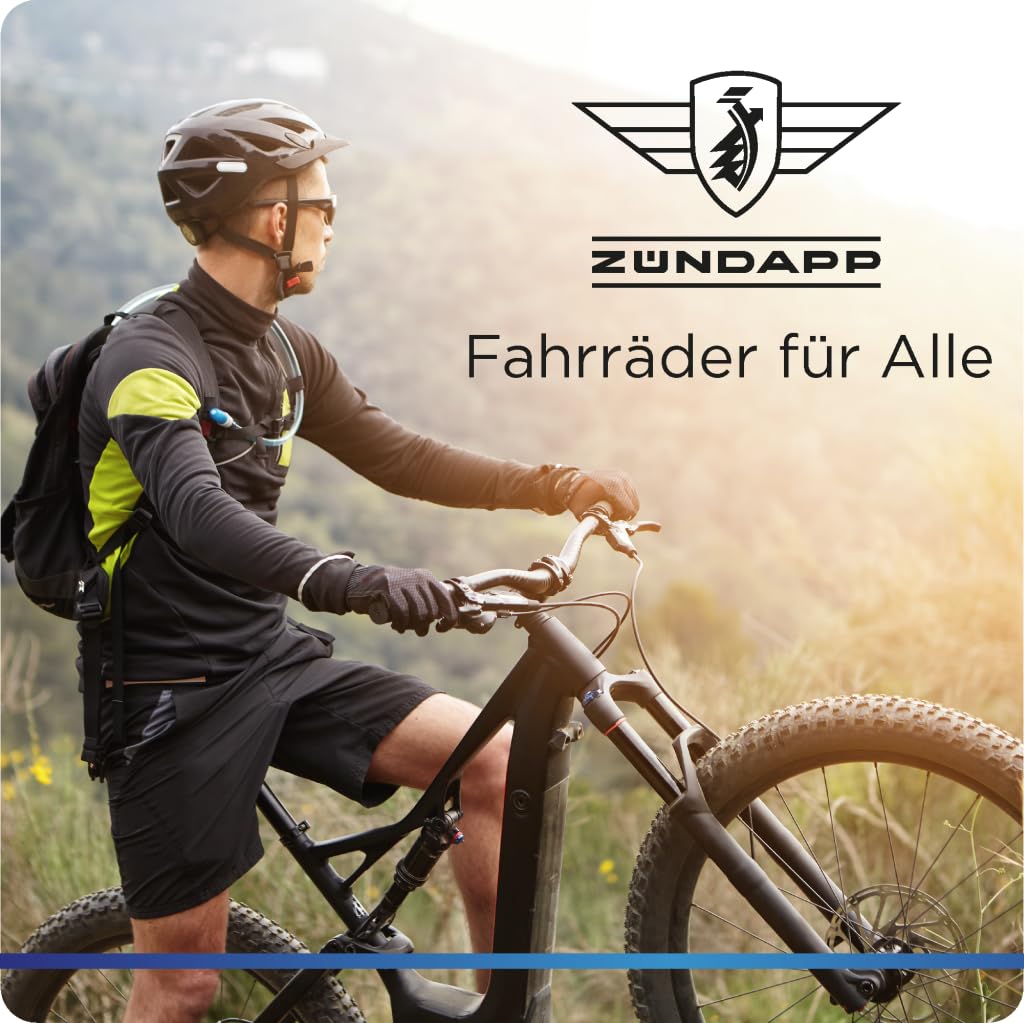 ZÜNDAPP E Bike Damen Fahrrad 28 Zoll | Ebike City Erwachsene 155-190 cm | Retro E-Bike 7 Gang Schaltung Rücktrittbremse | Elektro Fahrräder mit Licht Z517