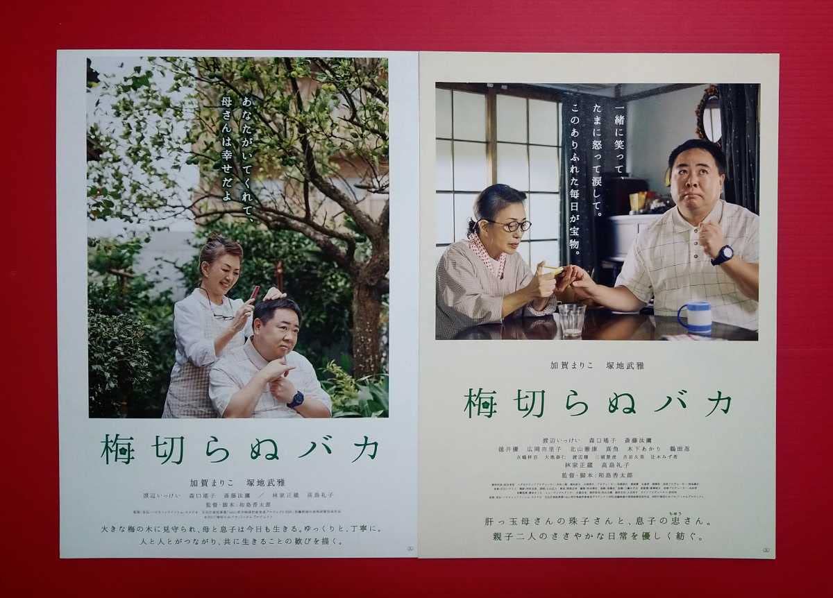 Amazon.co.jp: ・映画パンフレット+チラシ 梅切らぬバカ 加賀まりこ