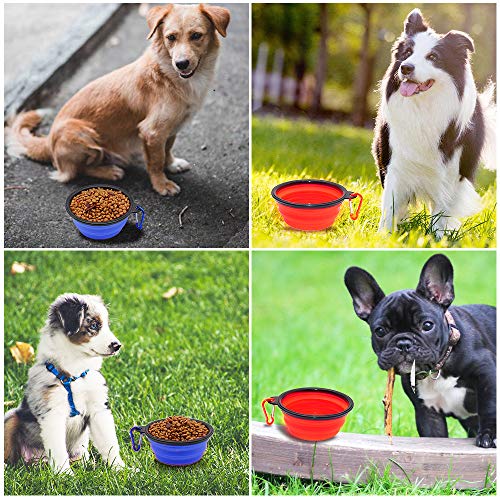 Image of SLSON Plastic Collapsible Dog Bowl, 2 Pack Collapsible Dog Water Bowls for Cats Dogs, Portable Pet Feeding Watering Dish for Walking Parking Traveling with 2 Carabiners (Small, Blue+Red)