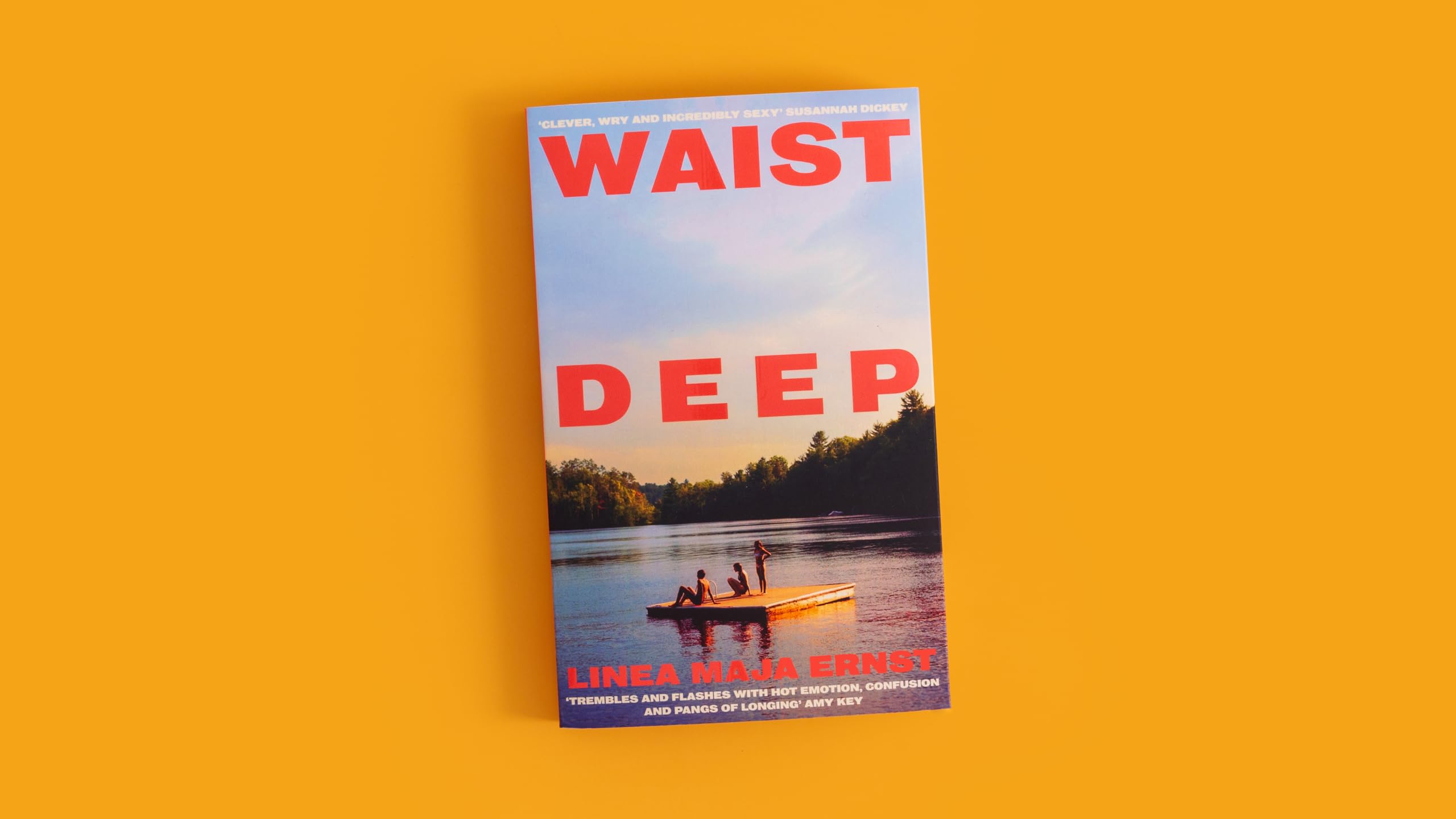 Waist Deep: Discover the Scandinavian sensation and hottest read of 2026