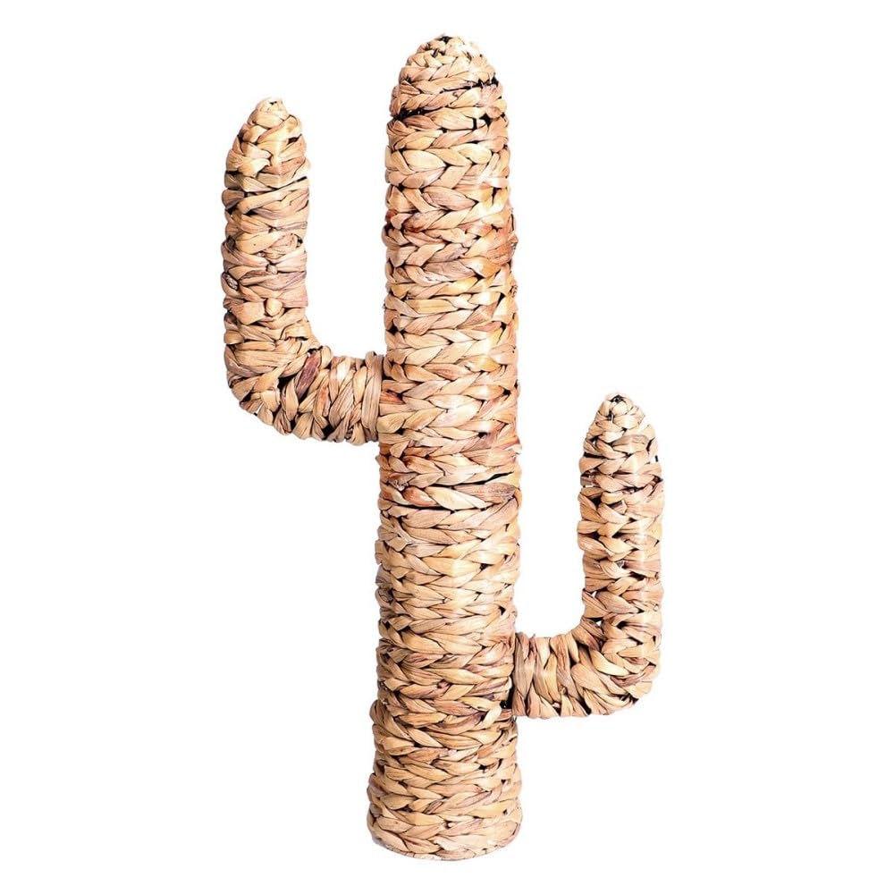 Cactus en jacinthe d'eau Fornord H80 pour salon style boheme