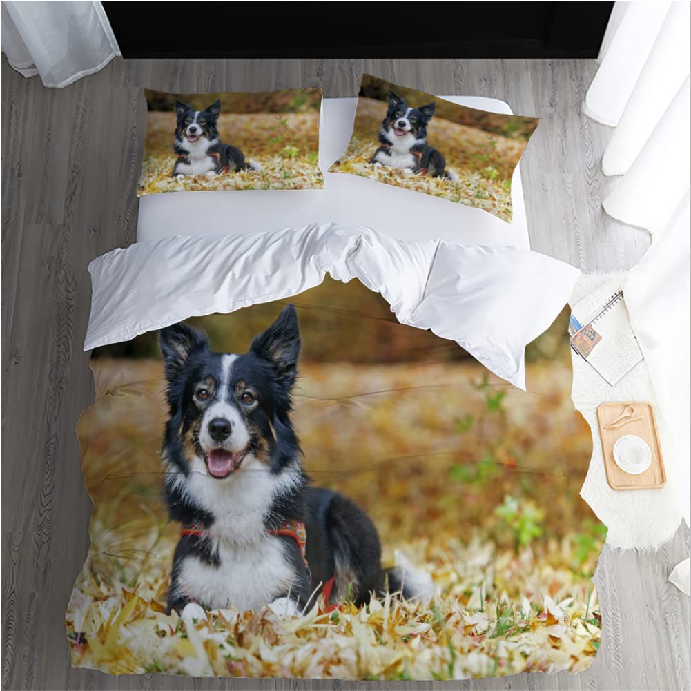 Lama Per Sega A Nastro Per Legno, 4750 X 30 X 0,7 - Foto 10