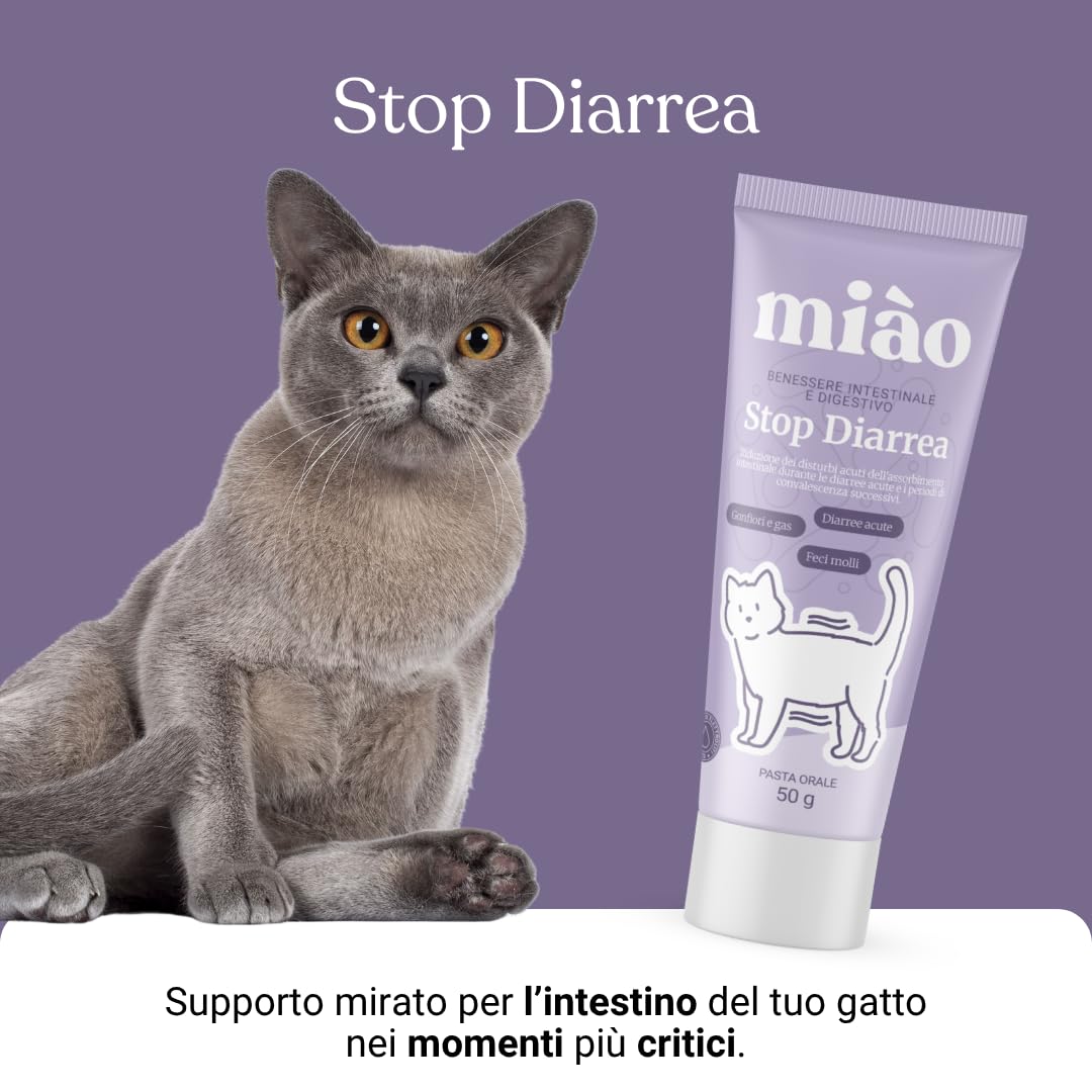 Miào Stop Diarrea Gatto Pasta – Supporto Intestinale per Diarrea Acuta, Feci più Solide, Reintegro Elettroliti e Liquidi, Pancia Gonfia, Facile Somministrazione