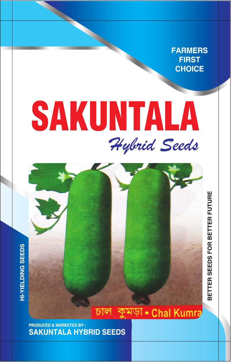 Neer Poosanikai Kumbalam Ash Gourd Organic All Season Growing (Pack of 50 seeds)-image-34