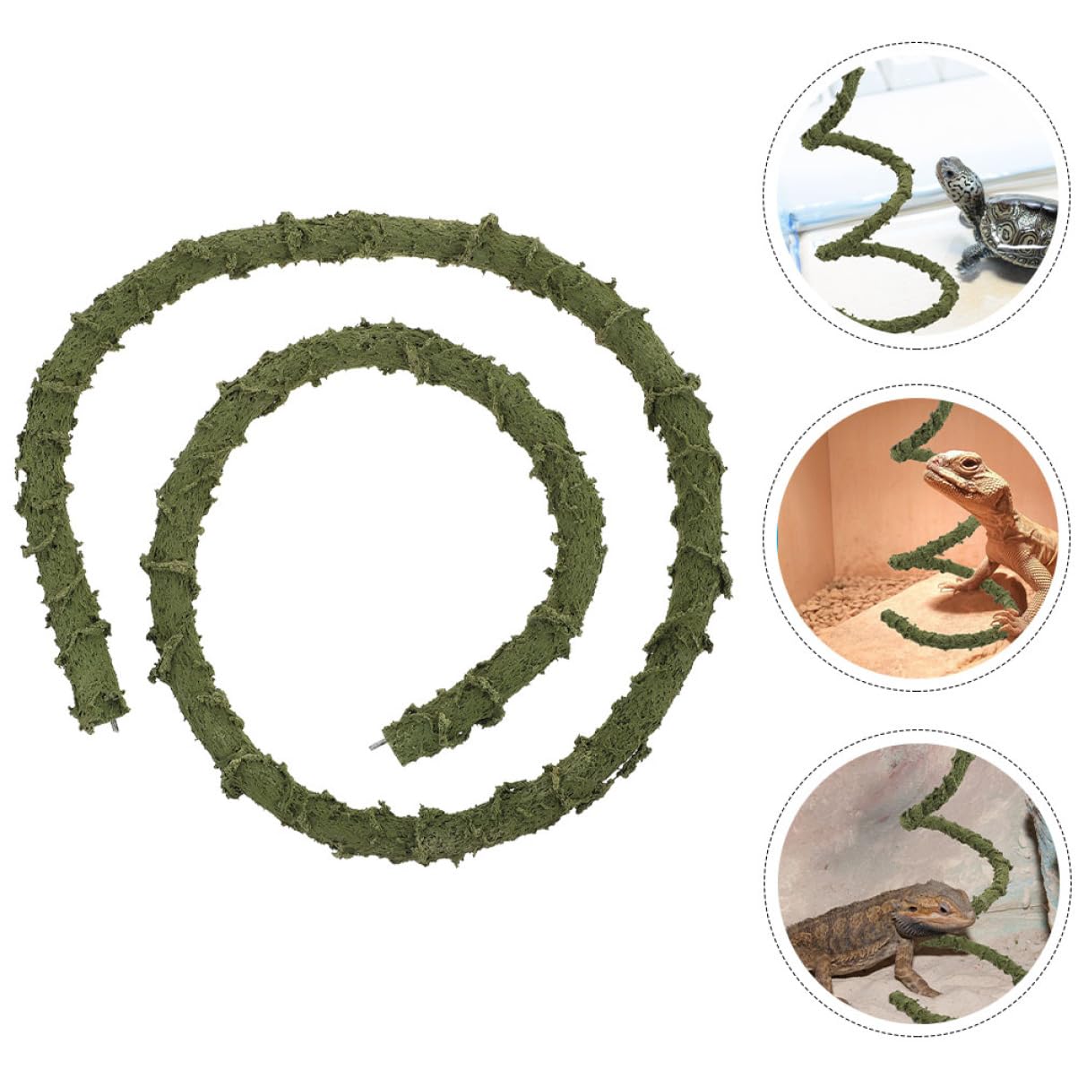 BESPORTBLE 5 Accessori Per Rettili Giocattoli A Forma Di Paguro Decorazioni Per Rettili Rampicanti Artificiali Giocattolo Decorativo A Forma Di Rampicante Per Rettili