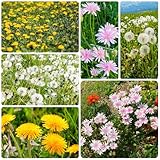 Perfecta para Navidad, bodas o cumpleaños. ¡También son ideales para crear su propio jardín de mariposas o pastizal para abejas!