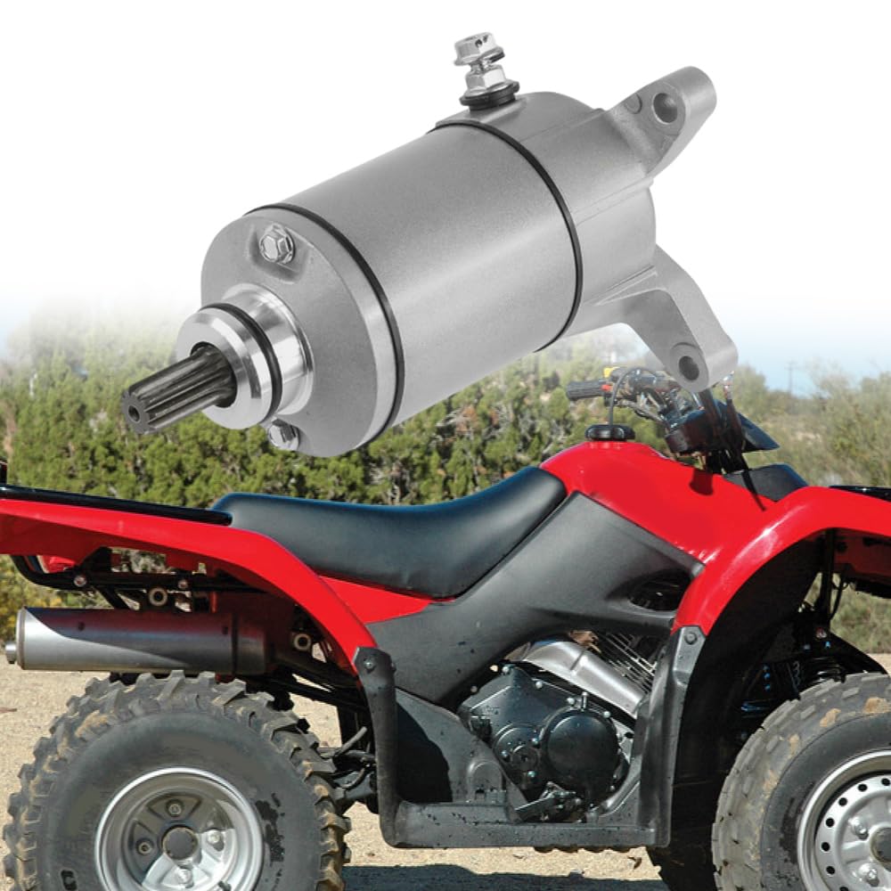 Baceyong Motorino di avviamento elettrico di ricambio per moto, 10 denti, compatibile con Suzuki Ozark 250 LT-F250 2002-2014 31100-02C00 31100-02C01