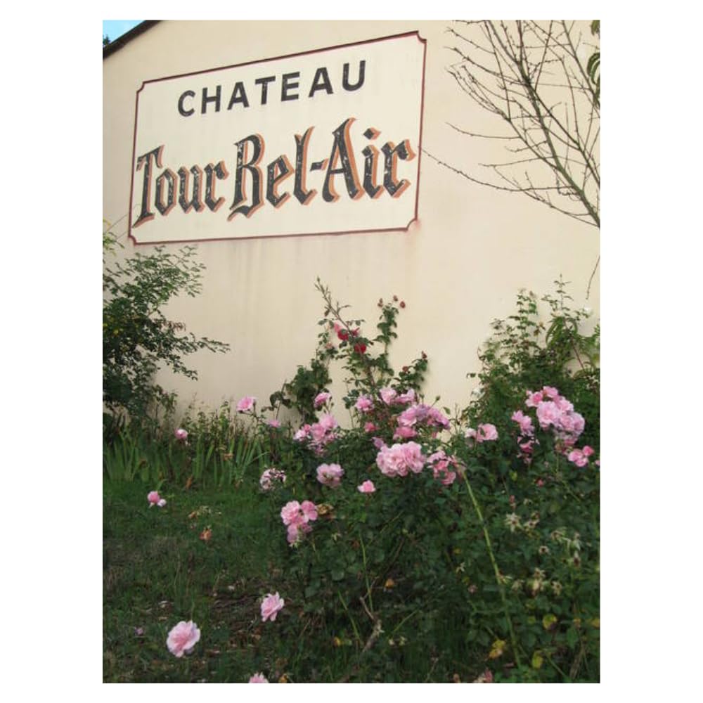 Tour Bel-Air Château Tour Bel-Air Tradition, Vin Rouge de Bordeaux Fronsac, 2016, 75cl, Lot de 6 Bouteilles