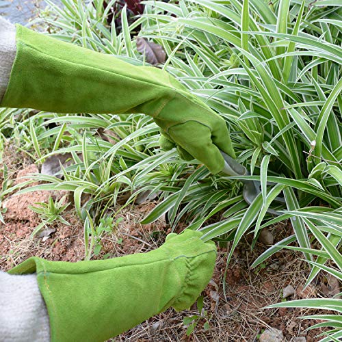 Handlandy Ladies Leather Gardening Gloves, Thorn Proof Long Gauntlet Heavy Duty Garden Gloves, Elbow Length Women Rose Pruning Gloves (Medium, Green) #TOP5