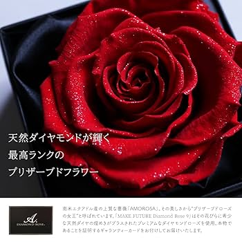 バラプレゼント用 ROSEGIFT カテゴリ商品一覧│中洲花屋 ABCフラワー｜福岡市博多