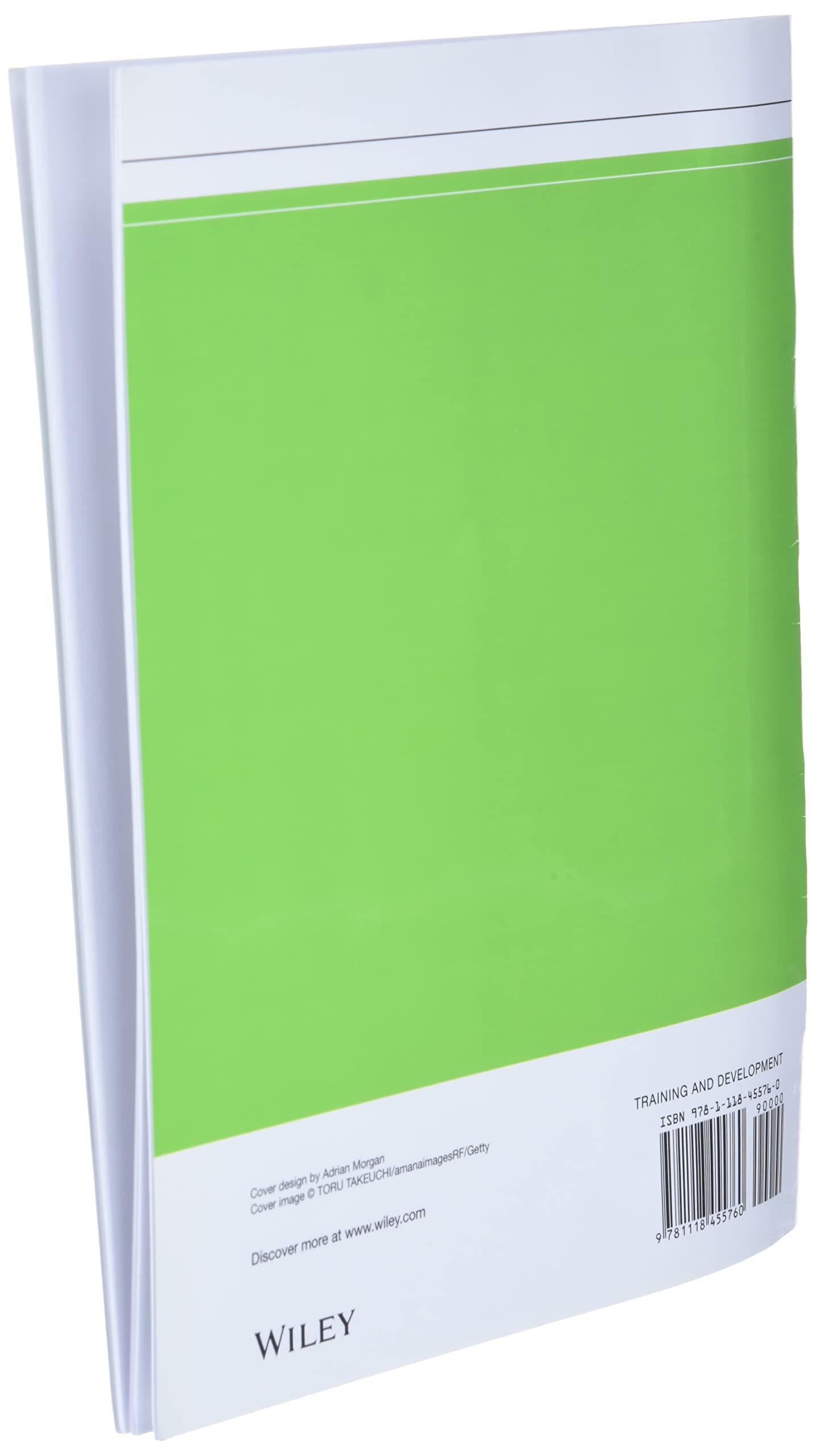 Career Anchors: The Changing Nature of Careers Self Assessment - Image 4