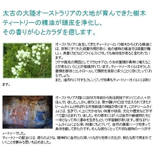 最安値 ハーティーハート ティートリーシャンプー 詰替用 4mlの価格比較