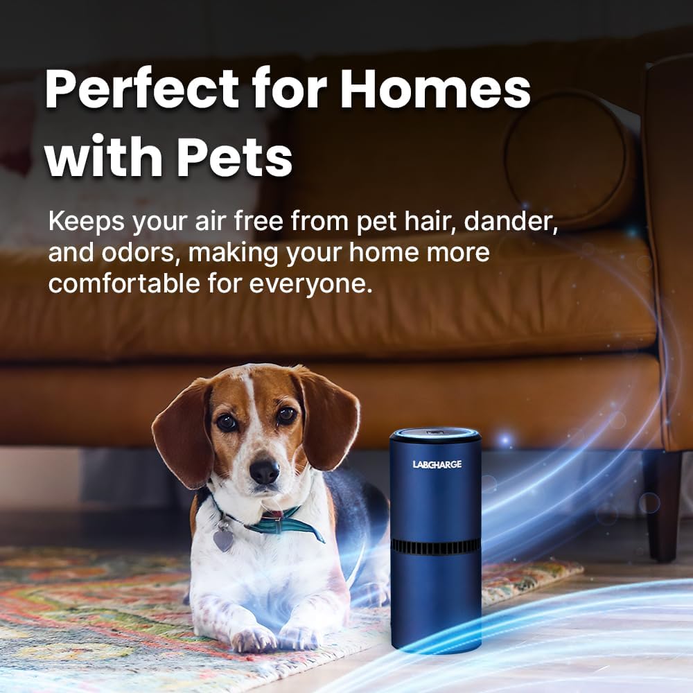 Lab Charge Small Ionic Air Purifier for Home & Bedroom – Silent HEPA Filter – Covers 250 Sq Ft - Free Cleaner for Pets, Hair, Smoke, Dust, Odors & Dander – Compact & Blue Design