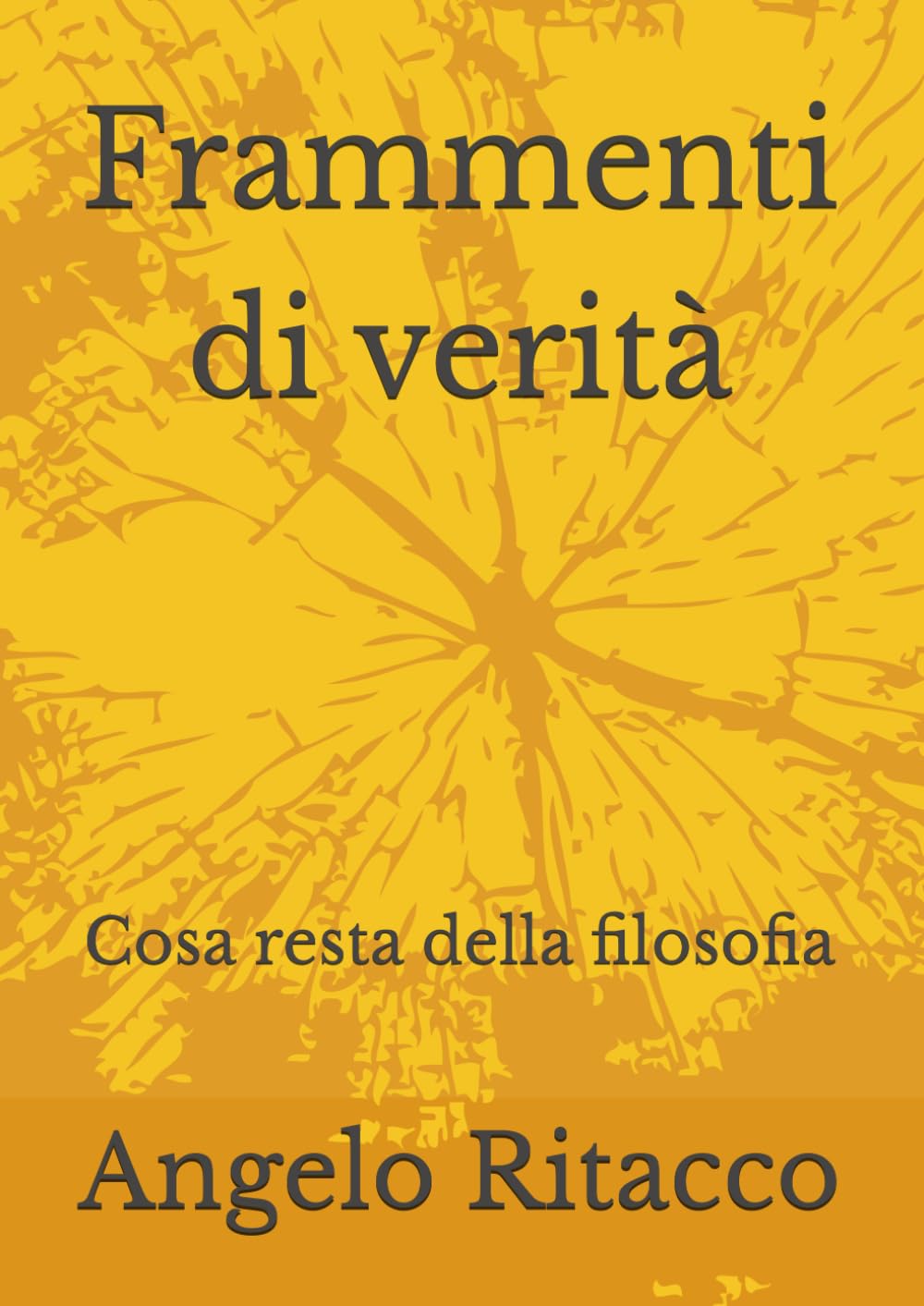 Frammenti di verità: Cosa resta della filosofia
