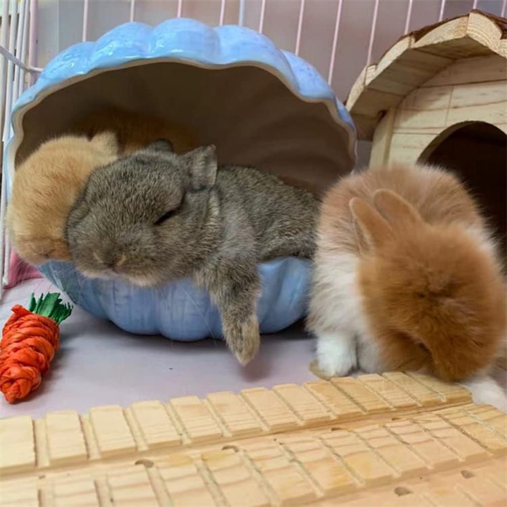 Kleintierversteck, extra groß, Keramikschalenform, Meerschweinchenhaus, Chinchilla, Iglu, Hütte, Sommerbett, Käfig, Zubehör für Igel, Kaninchen, Hamster, Ratten (XL (24.1x17.8x20.9 cm), blau)