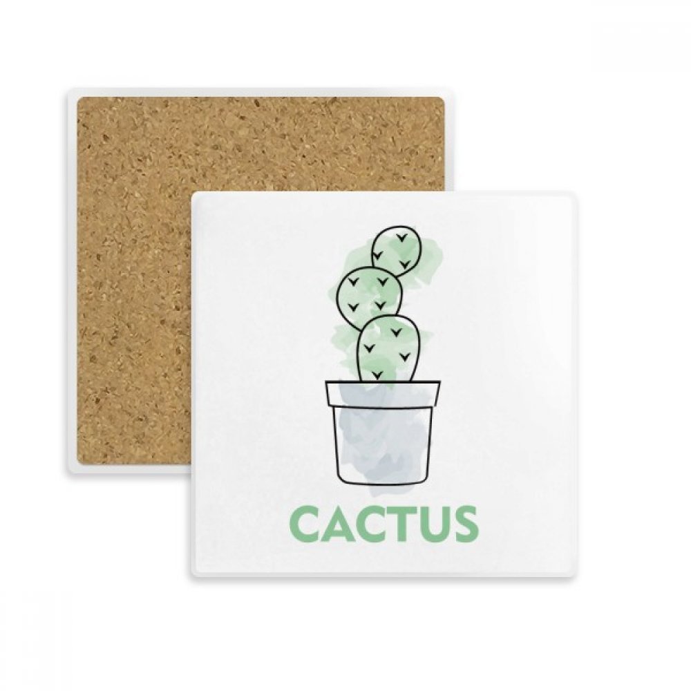 Coaster cactus succulentes en pierre absorbante pour protéger vos tables