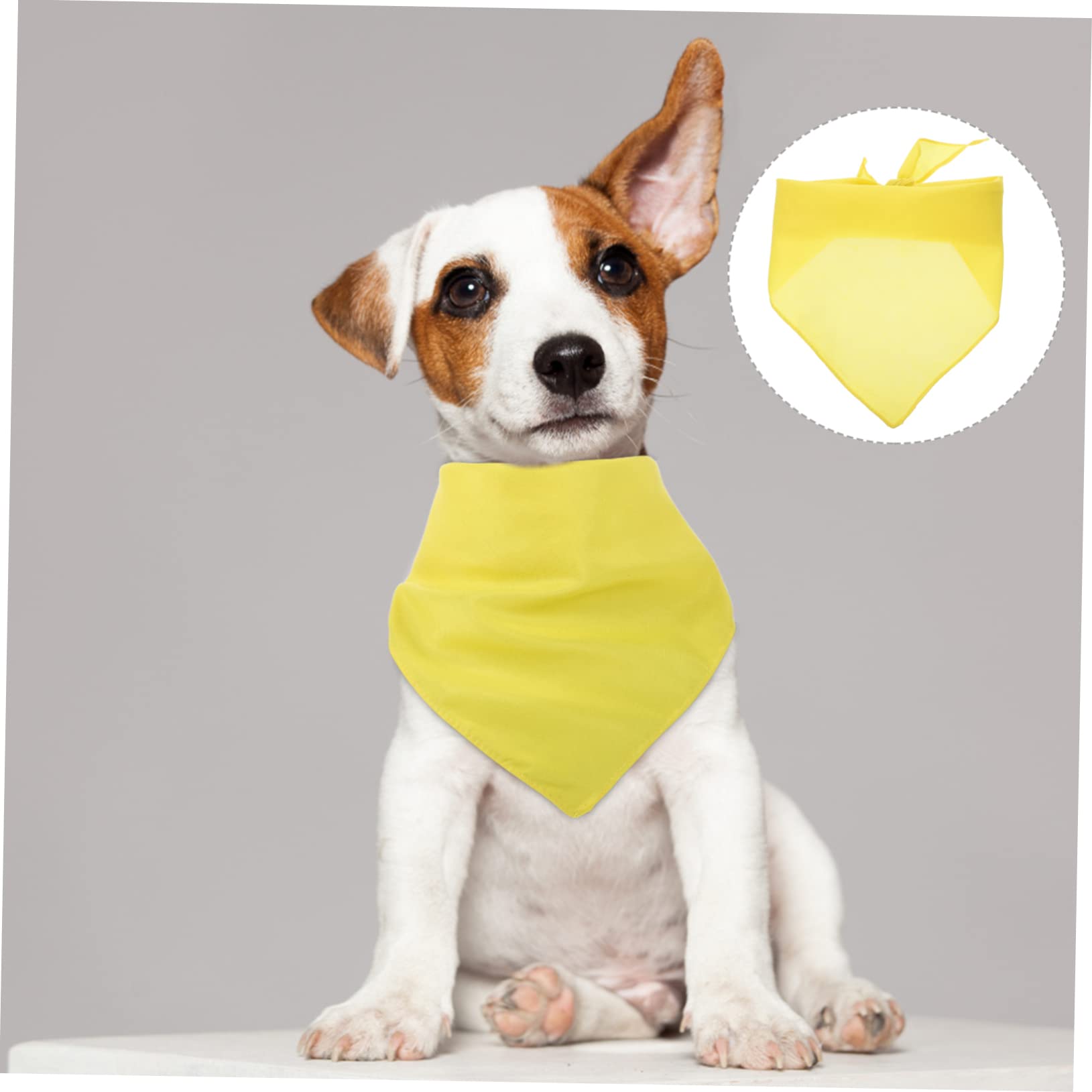 Beaupretty 20pièces Bandana pour Chien Écharpe Décorative Lavable Confortable Et Accessoire pour Photos Sorties Et Fêtes Grand Modèle