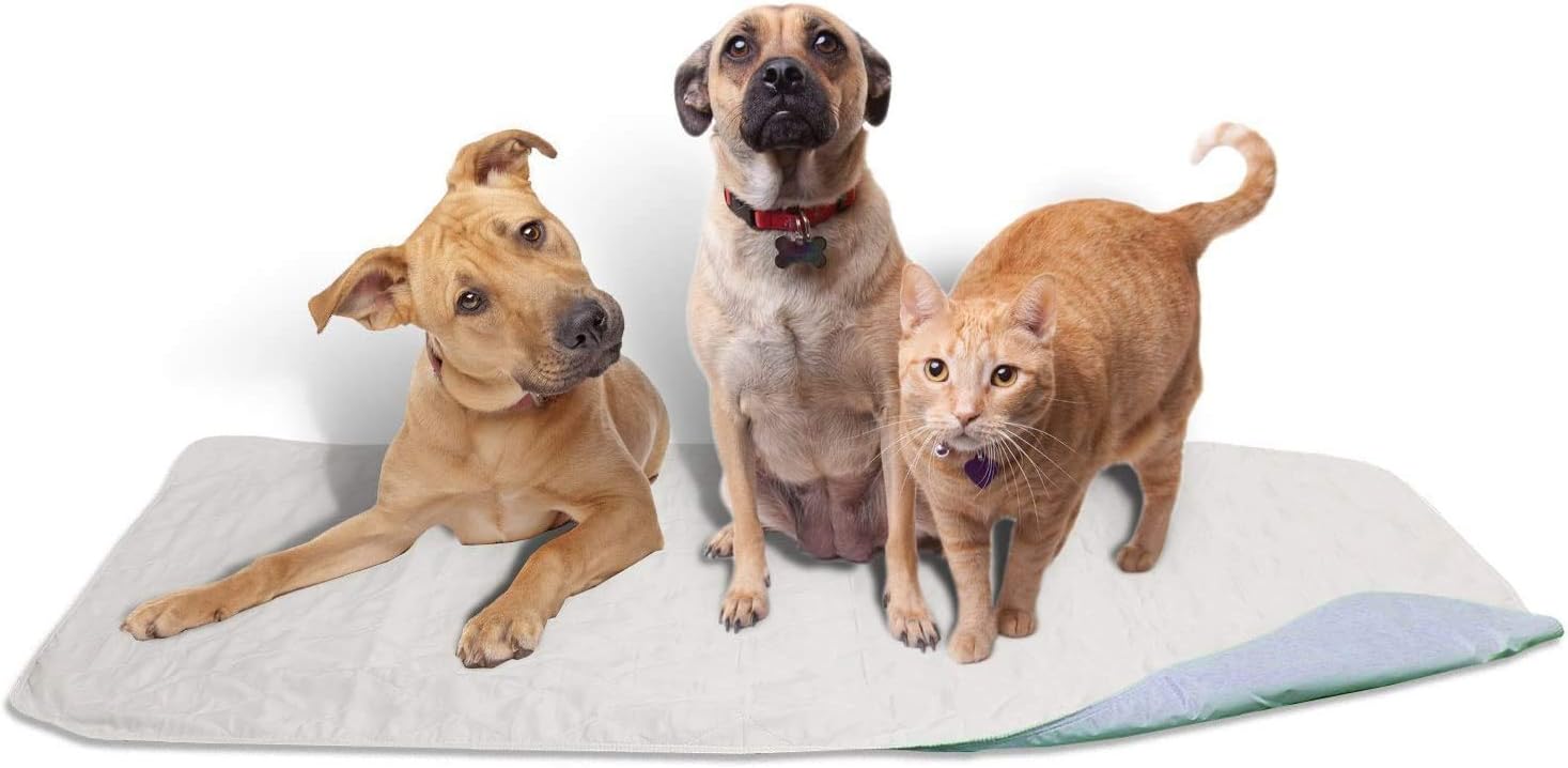 AMU Solutions 36 x 72 Dog Pee Pads Washable Chux Pads