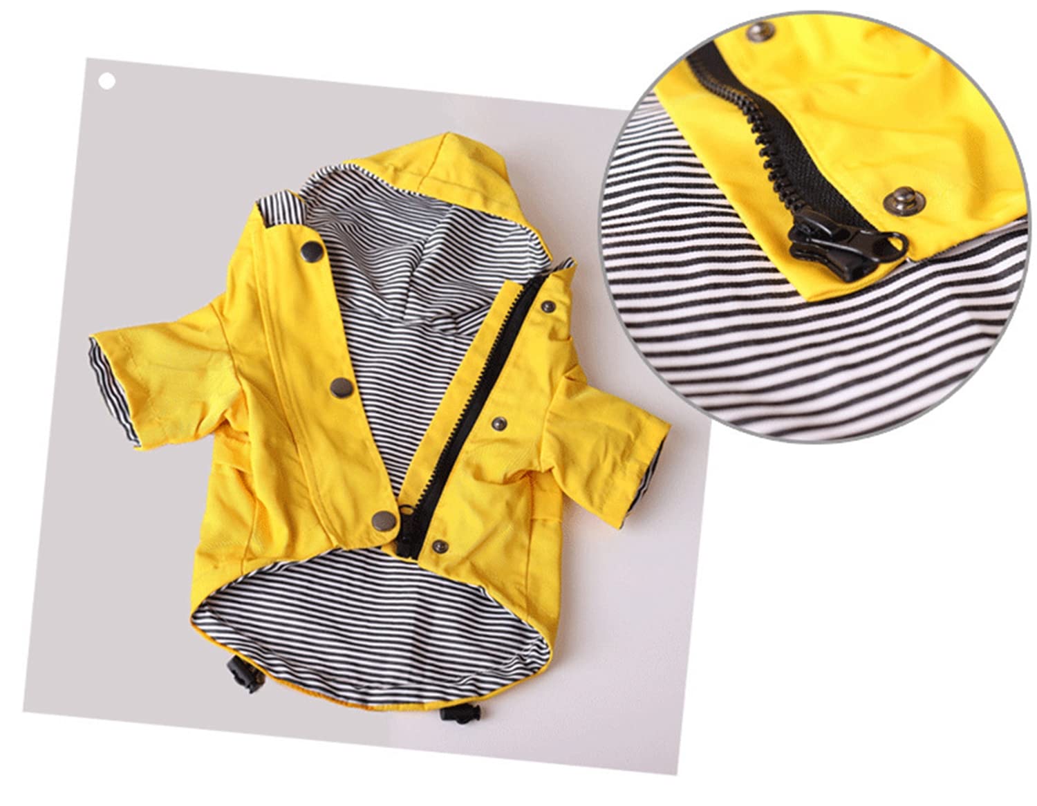 Skateboard Frog Veste de pluie pour chien avec fermeture éclair – Manteau de pluie résistant à l'eau – Élégant pour chien (taille L, jaune)