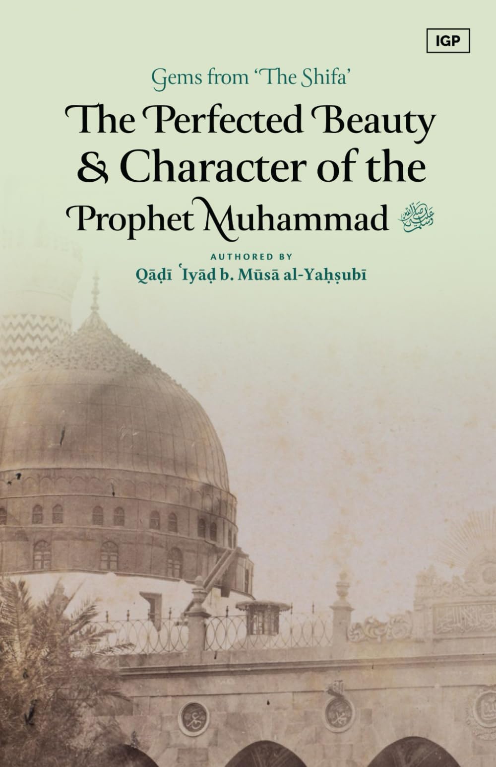 The Perfected Beauty & Character of the Prophet Muhammad ﷺ
