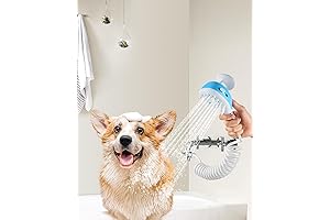 2-in-1 Shower Head and Soap Dispenser for Sink Faucet