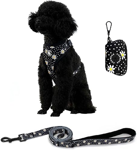 Coowone Juego de arnés y correa para perro con dispensador de bolsas de excrementos, malla suave ajustable y arnés para perro sin tirones para