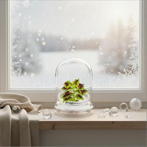 Miniatura 2 de Terrario floral arcoíris - Crecimiento automático, sin mantenimiento, Coleus - Cúpula de 4 pulgadas