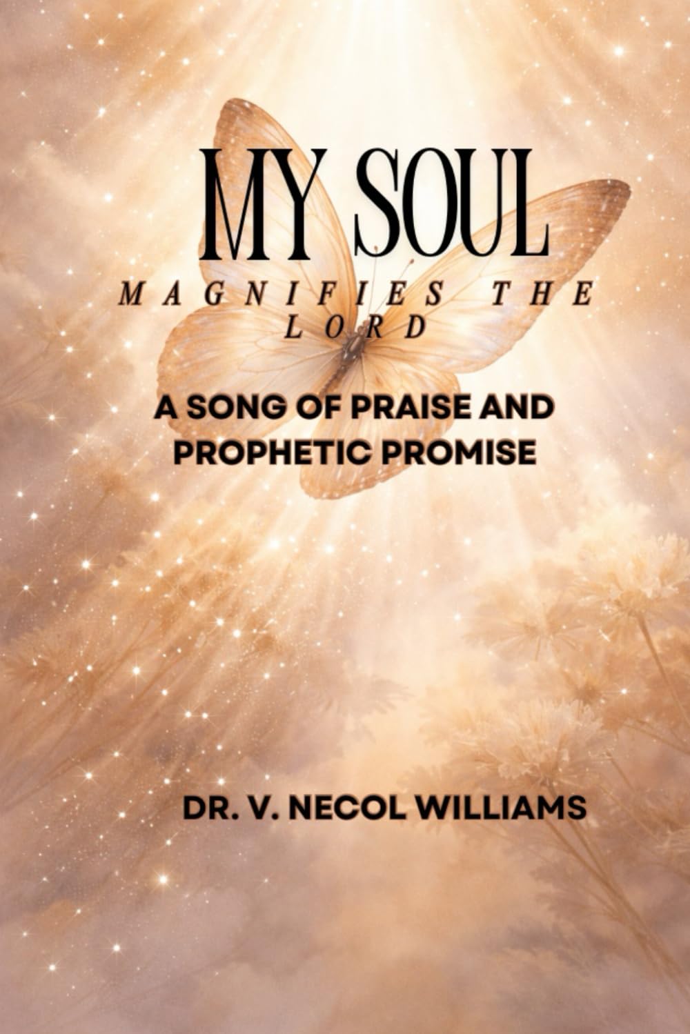 My Soul Magnifies the Lord: A Song of Praise and Prophetic Promise