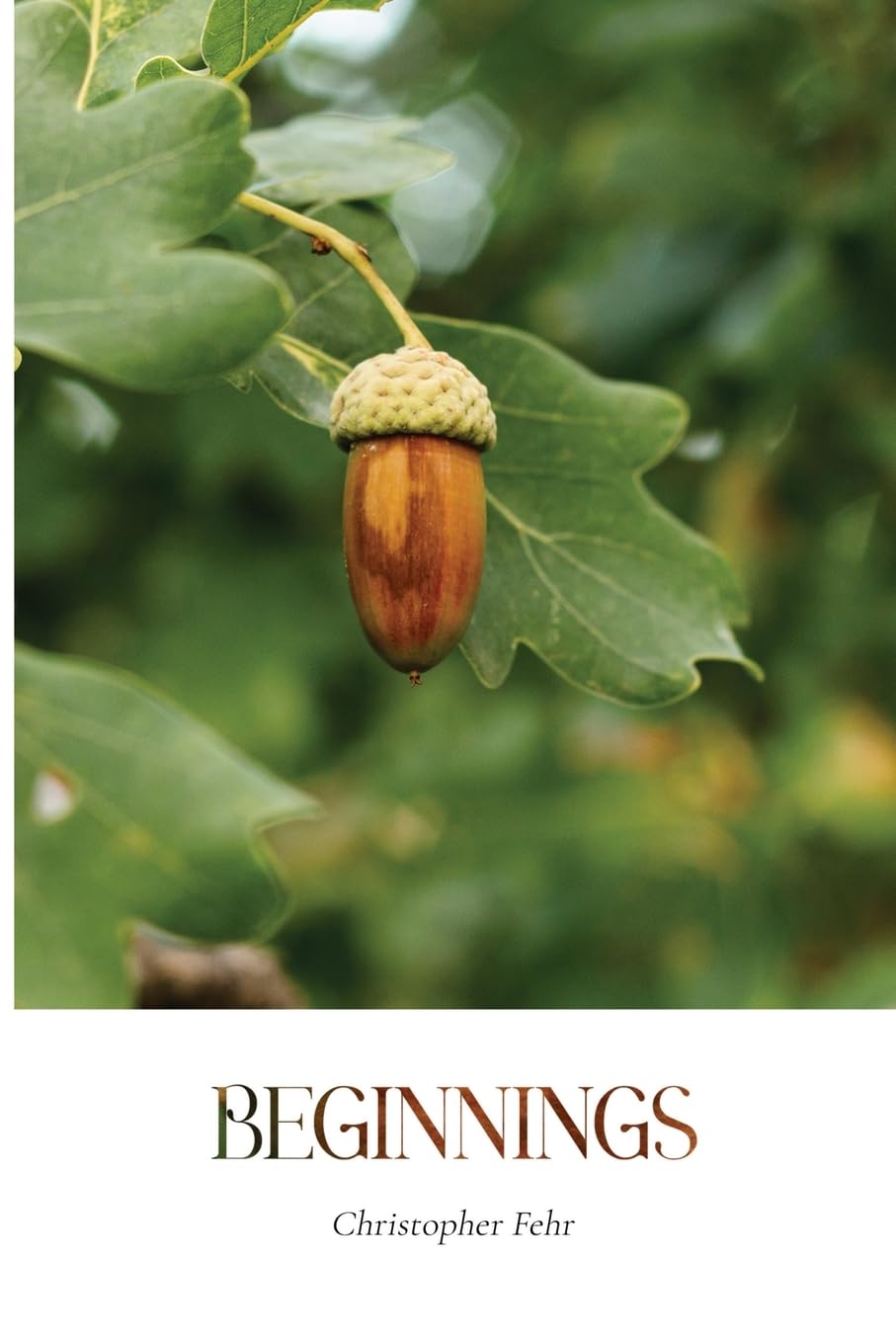 Beginnings