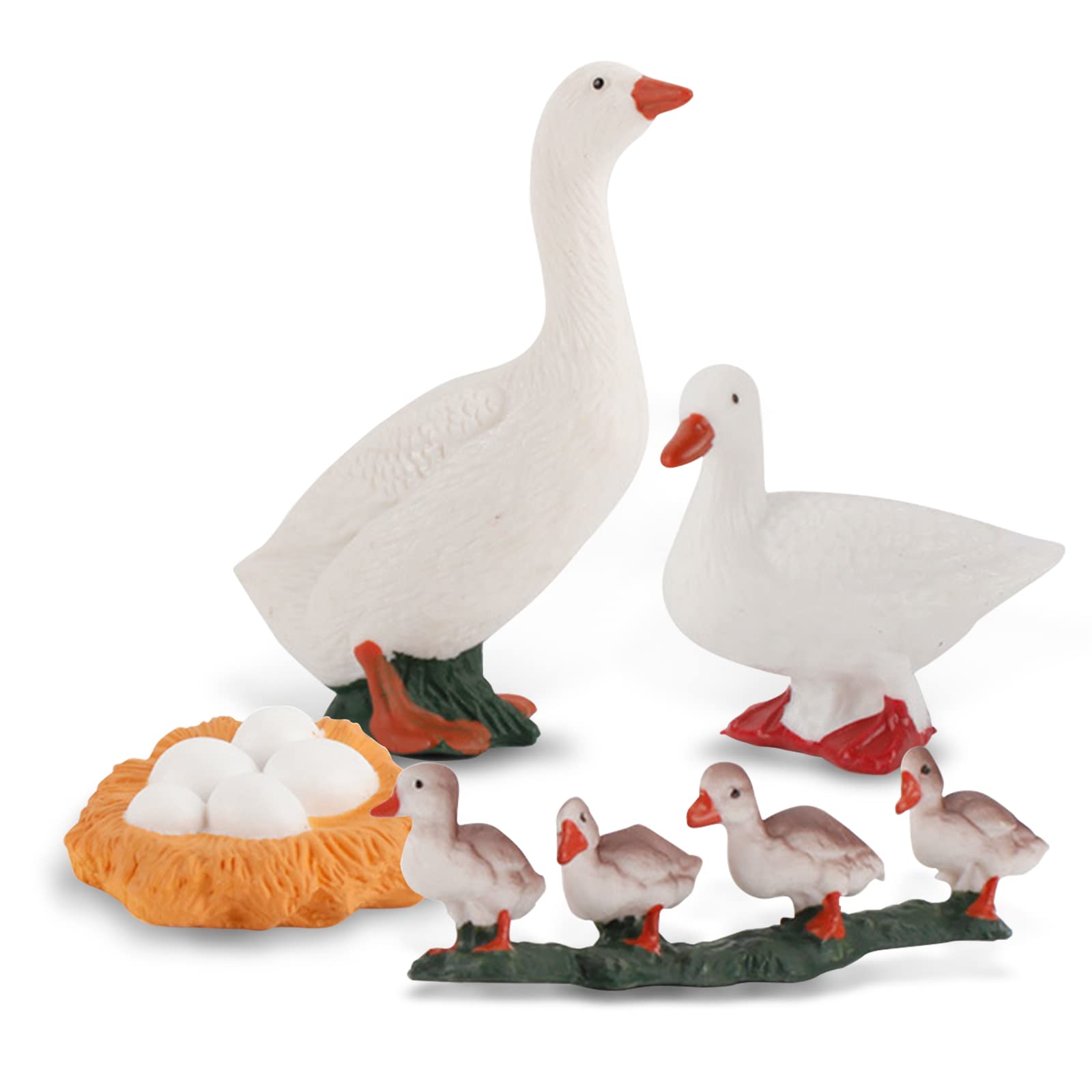 LC JoyCreLife Cycle of Duck Figurines Animals Figurines Set Duck Toys Realistic Farm Animals Preschool Animals Figures Eduactional Project Diorama Model Toy for Kids