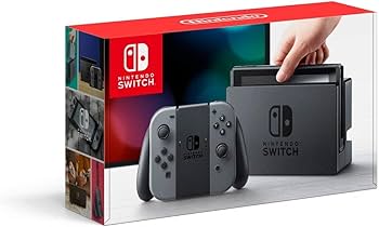 Nintendo Switch Console Gray Joy-Con : Amazon.ca: Video Games