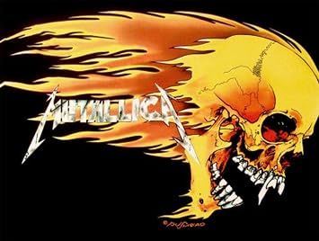 ملصق نسيج LPGI Metallica ، 30 &times; 40 بوصة ، الجمجمة واللهب