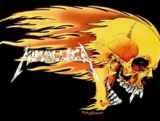 LPGI Metallica Fabric Poster, 30 by 40-Inch, Skull and Flames
