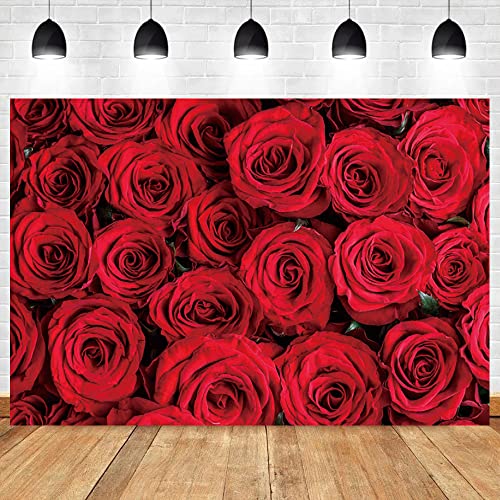 Toile de fond studio photo Saint-Valentin et décor mural anniversaire - 4