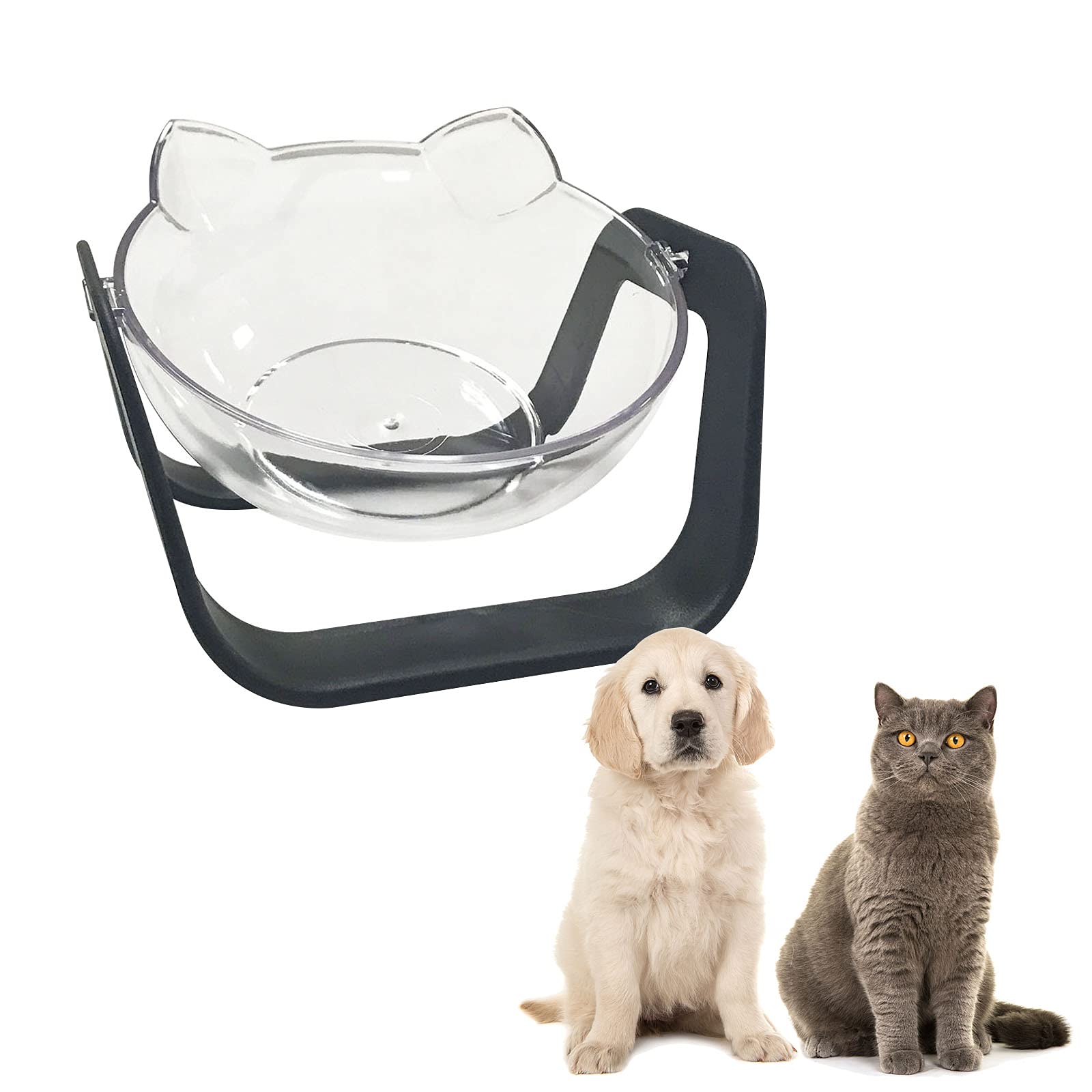 Are Elevated Food Bowls Safe For Dogs