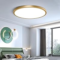 Vista 28 de 12 Inch Gold LED Ceiling Light, 3000K Warm White, 24W Gold Flush Mount Ceiling Light, 3200LM Round Low Profile Ceiling Lights for Bedroom, Living