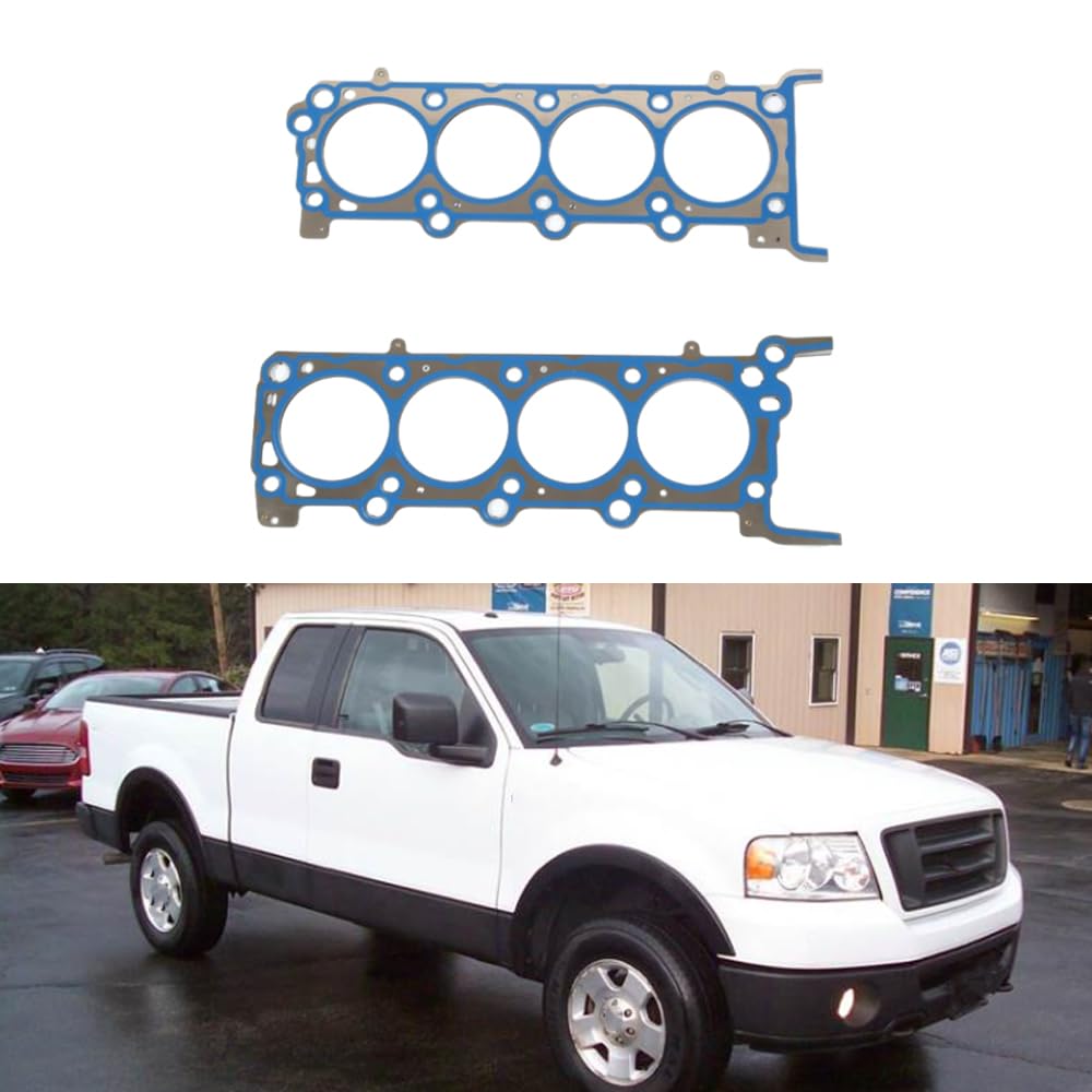 Riloer Guarnizione Testata, Set Guarnizioni Testata Motore Auto in Metallo da 2 Pezzi Compatibile con Ford F-150 F-350 F-250 Expedition Lincoln Mark LT, 26306PT, 26307PT