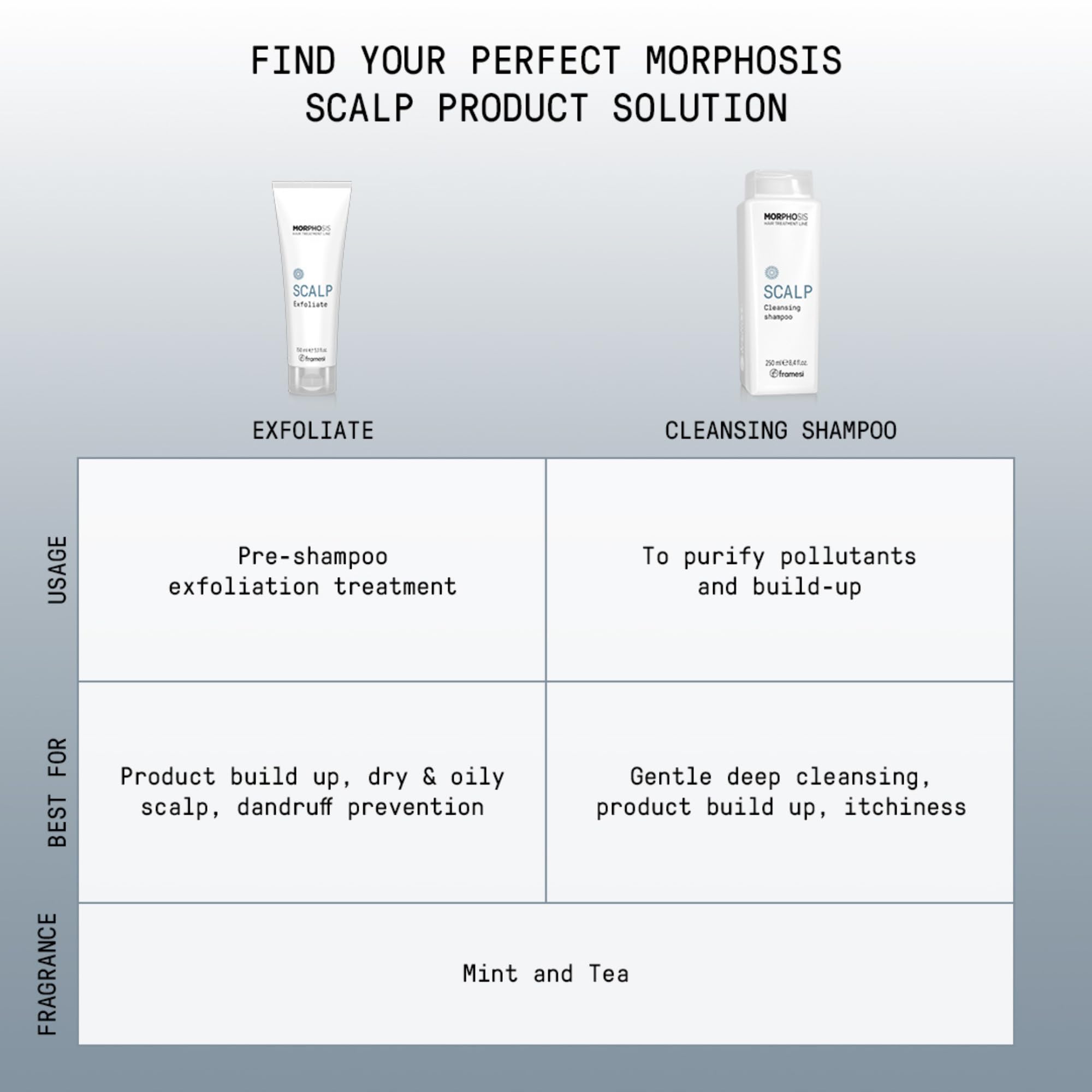 FRAMESI Morphosis Scalp Exfoliate, 5.1 fl oz, Scalp Exfoliator, Pre-shampoo Scalp Treatment